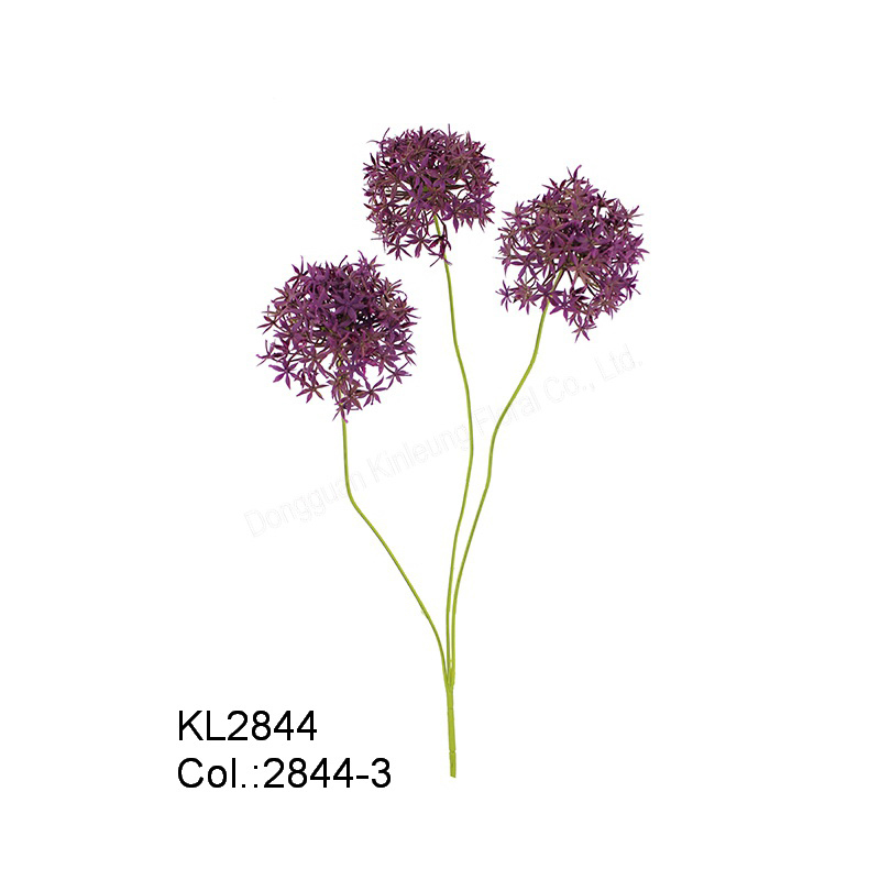 64cm Allium x 3 s Tipy